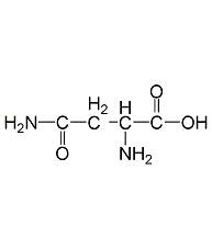 L-(+)-anhydrous asparagine structural formula